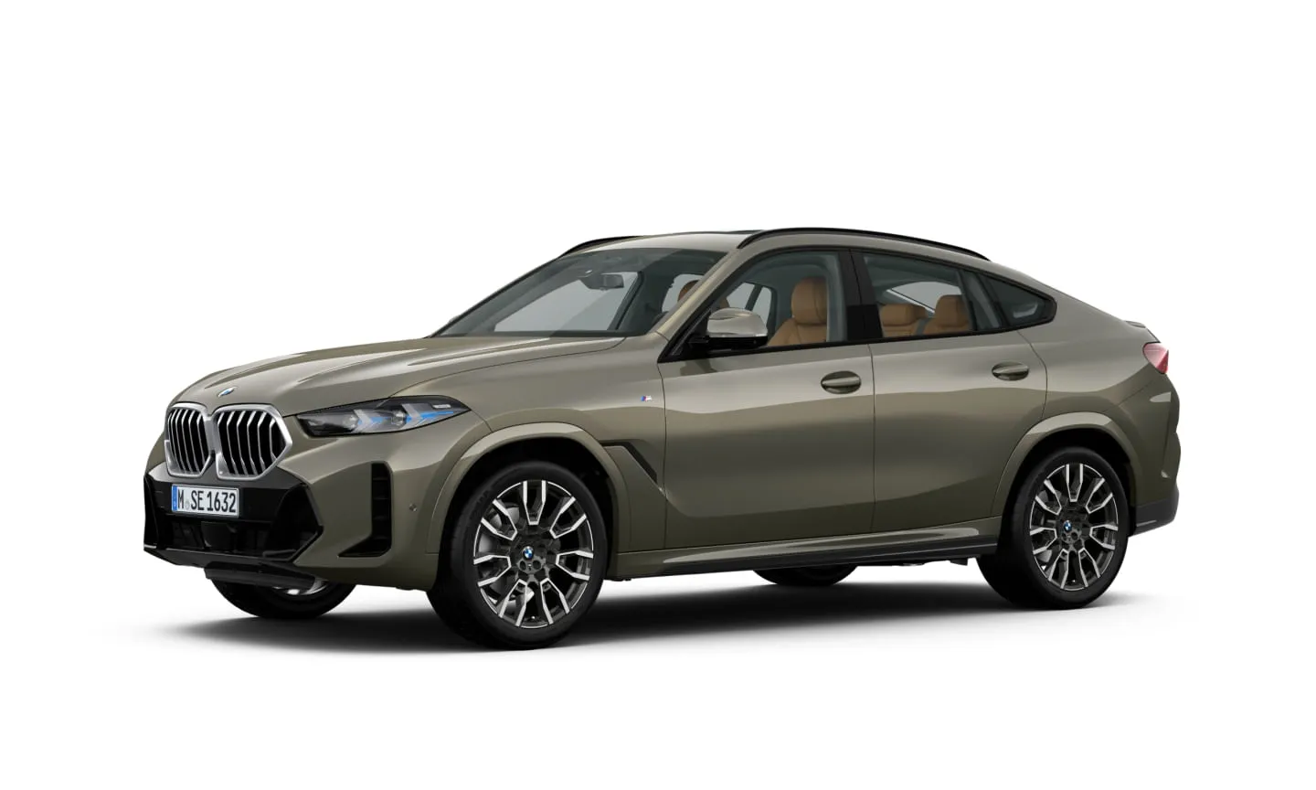 BMW BMW X6